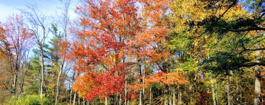 Teter Creek Lake Wildlife Management Area