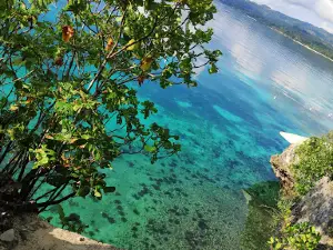 Salagdoong Forest