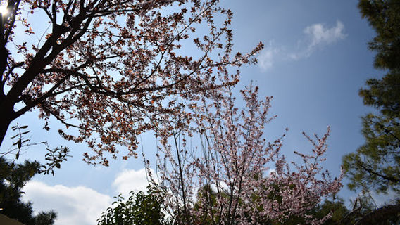 Neohorouda Municipal Park