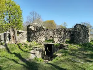 Ruyiny Nadvirnyansʹkoho Zamku