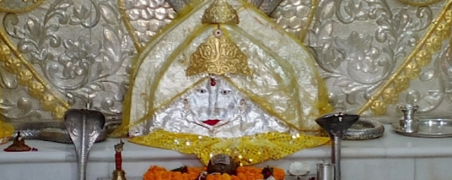 Nagnechya Mata Temple Trust, Nagana