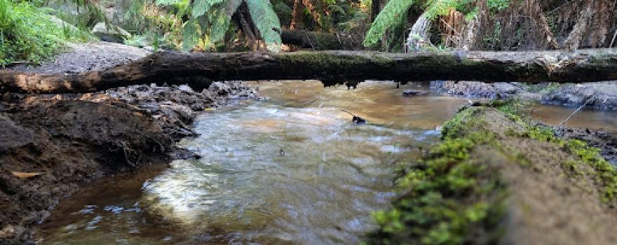 Britannia Creek Cave Geological Reserve