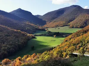 Riserva Naturale del Monte San Vicino e del Monte Canfaito