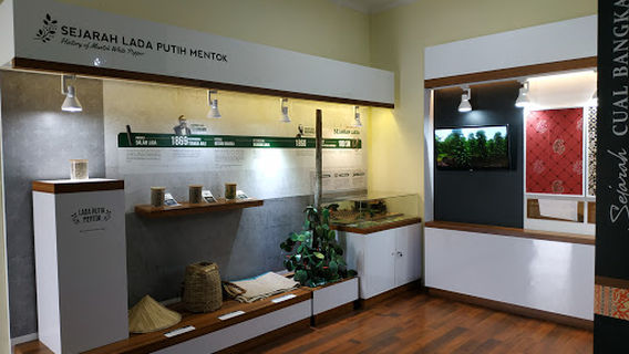 Museum Timah Indonesia