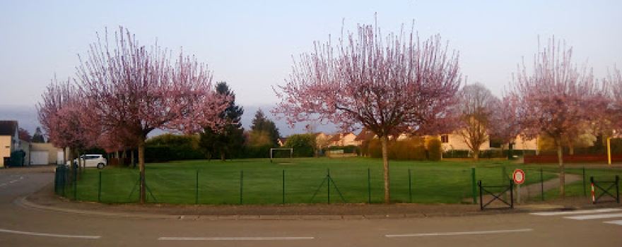 Leisure Centre