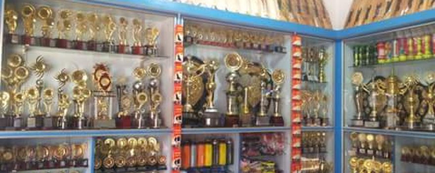 Notout Sports