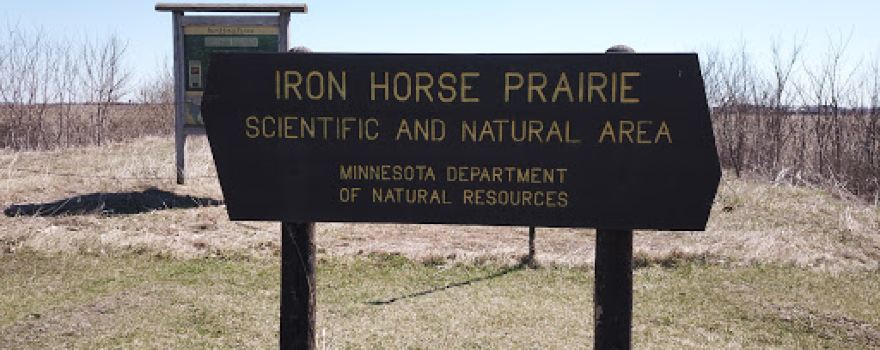 Iron Horse Prairie Scientific and Natural Area (SNA)
