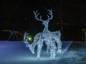 Парк культуры и отдыха "Молодежный"