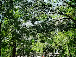 Pirsultan Abdal Parkı