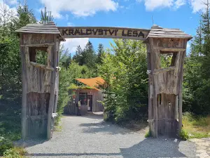 Království Lesa