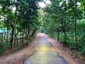 Rajeshpur Eco Park