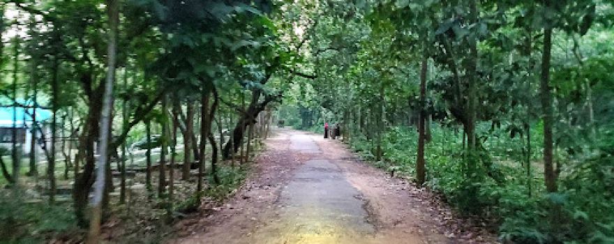 Rajeshpur Eco Park