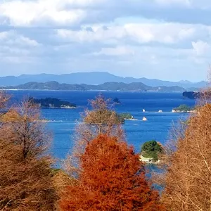 花の森公園