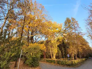 Gorlice Public Park