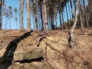 Stone rows near Kounov