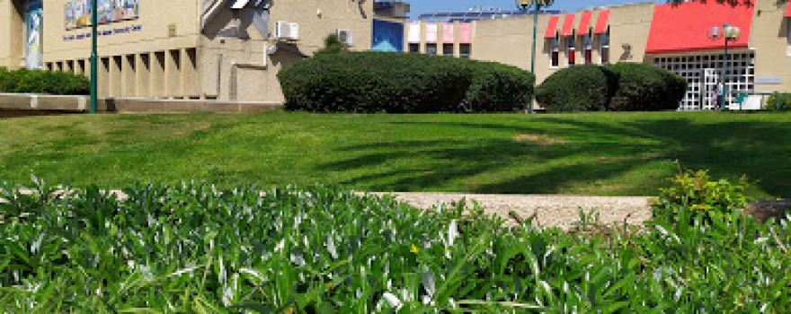 Mandel Community Center
