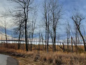 Blackduck Lake Access