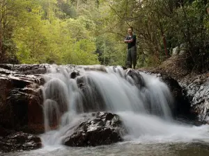 Hutan Lipur Eco Rimba Jerangkang
