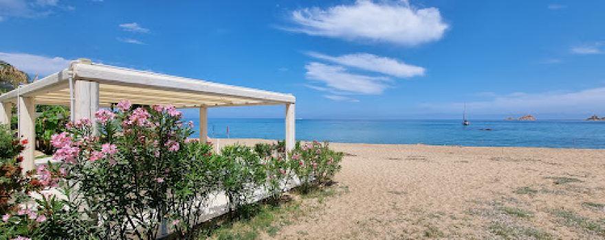 Camper Service Costa Orientale