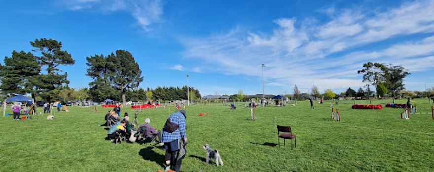 Rolleston Dog Park