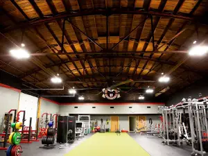 Flex Fitness