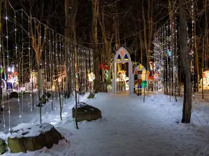 Route des Gerbes d'Angelica | Jardins et féérie de Noël