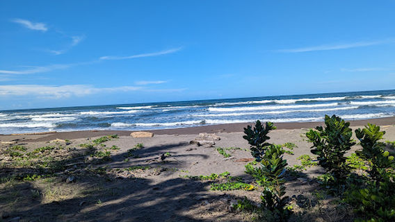 Tortuguero