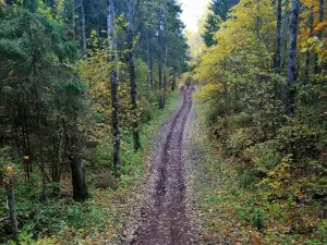 Ebavere Tervisespordikeskus