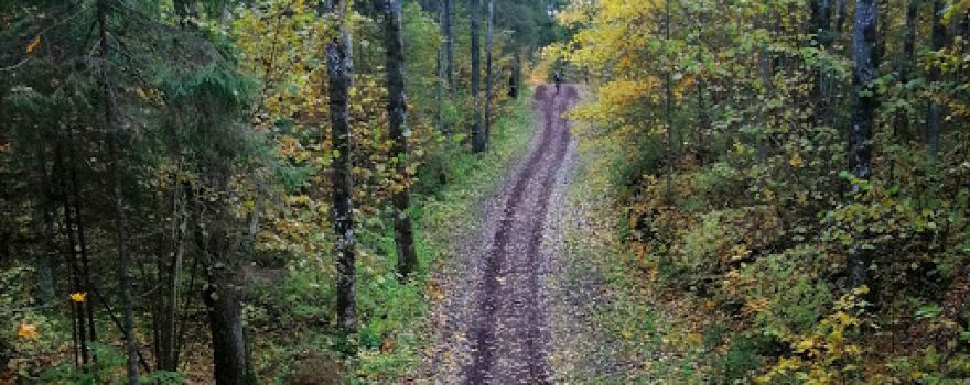 Ebavere Tervisespordikeskus