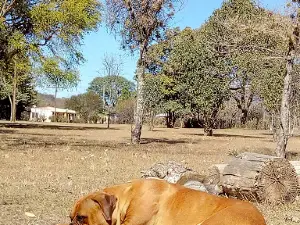 The Club De Campo Villa
