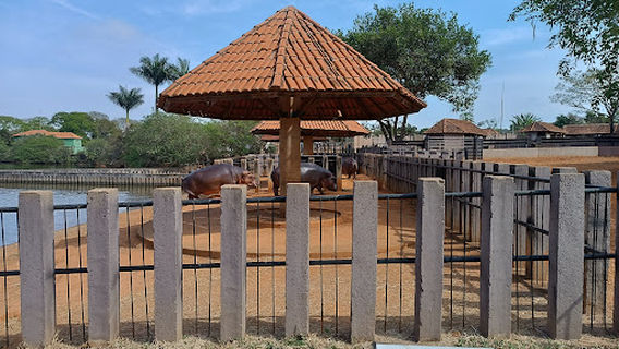 Zoológico de Brasília
