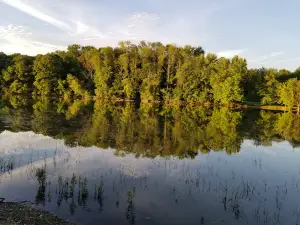 River Forest Park Campground