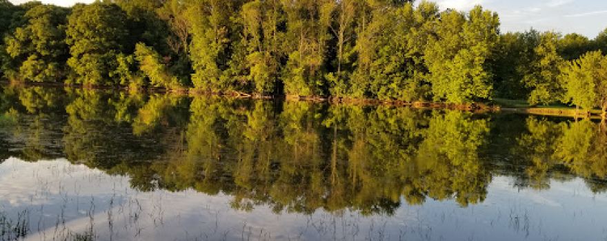 River Forest Park Campground