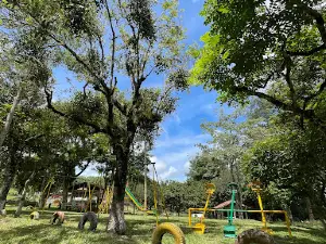 Club Yaguires