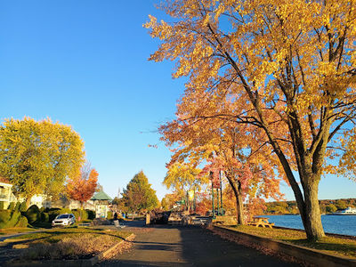 Magog Bay Park