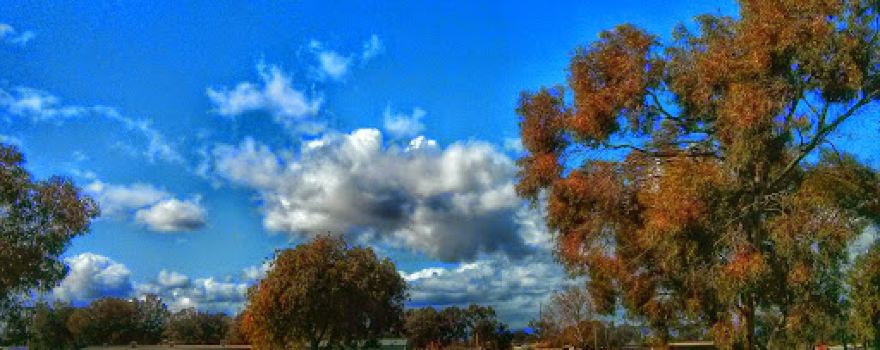EP Nazer Reserve