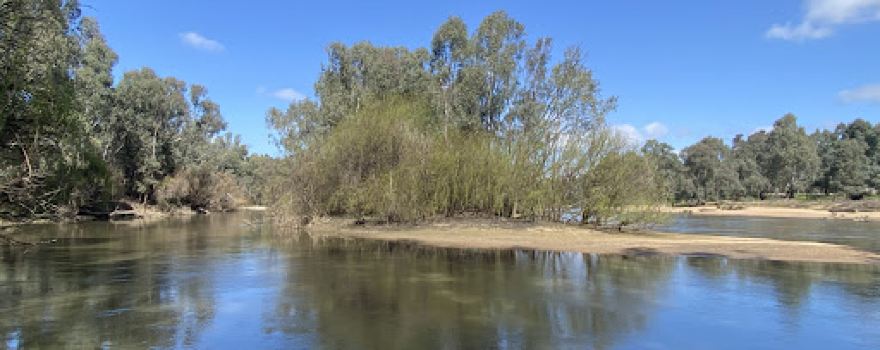 Wilks Park