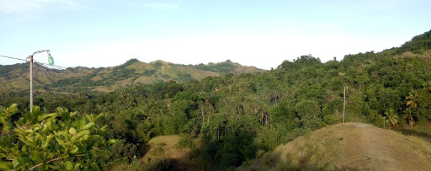 View Park Pilgrimage Area