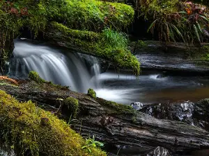 Munson Creek Falls State Park