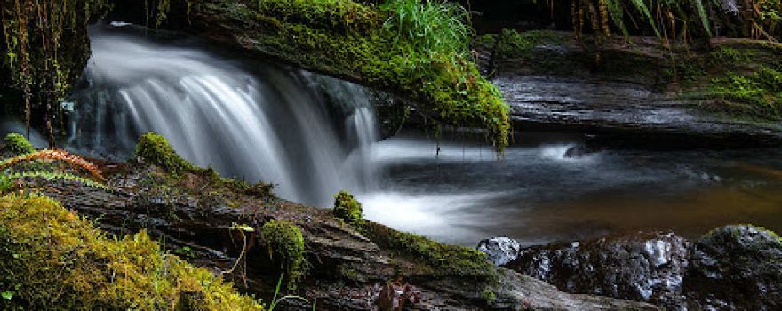 Munson Creek Falls State Park