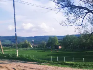 Stadionul Central