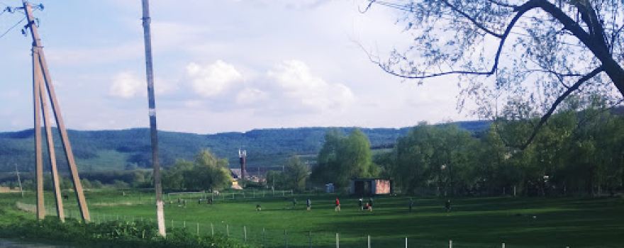 Stadionul Central