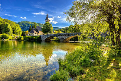 Goldenhorn/Zlatorog