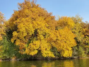 Lake Hanska County Park