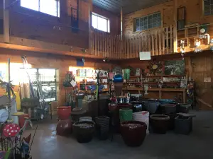 The Greenhouse at C & M