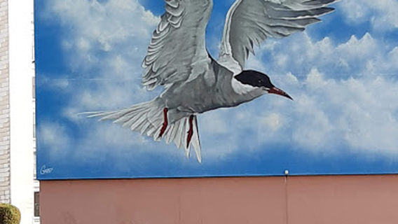 Centre Socio-Culturel de la Baratte - France Services NEVERS BARATTE