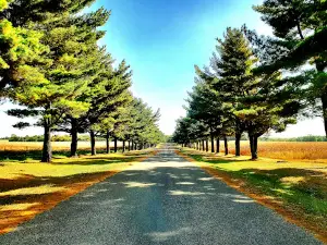 Delabar State Park