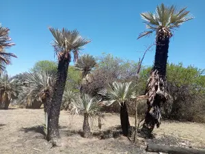 Finca Posada del Volcán