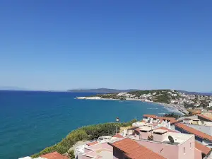 Ardıç
