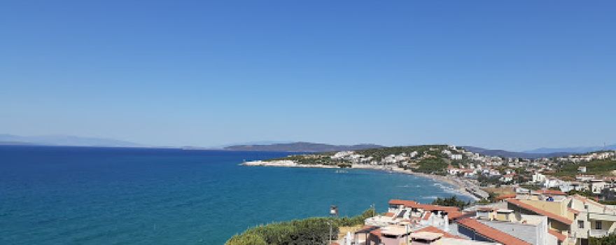 Ardıç